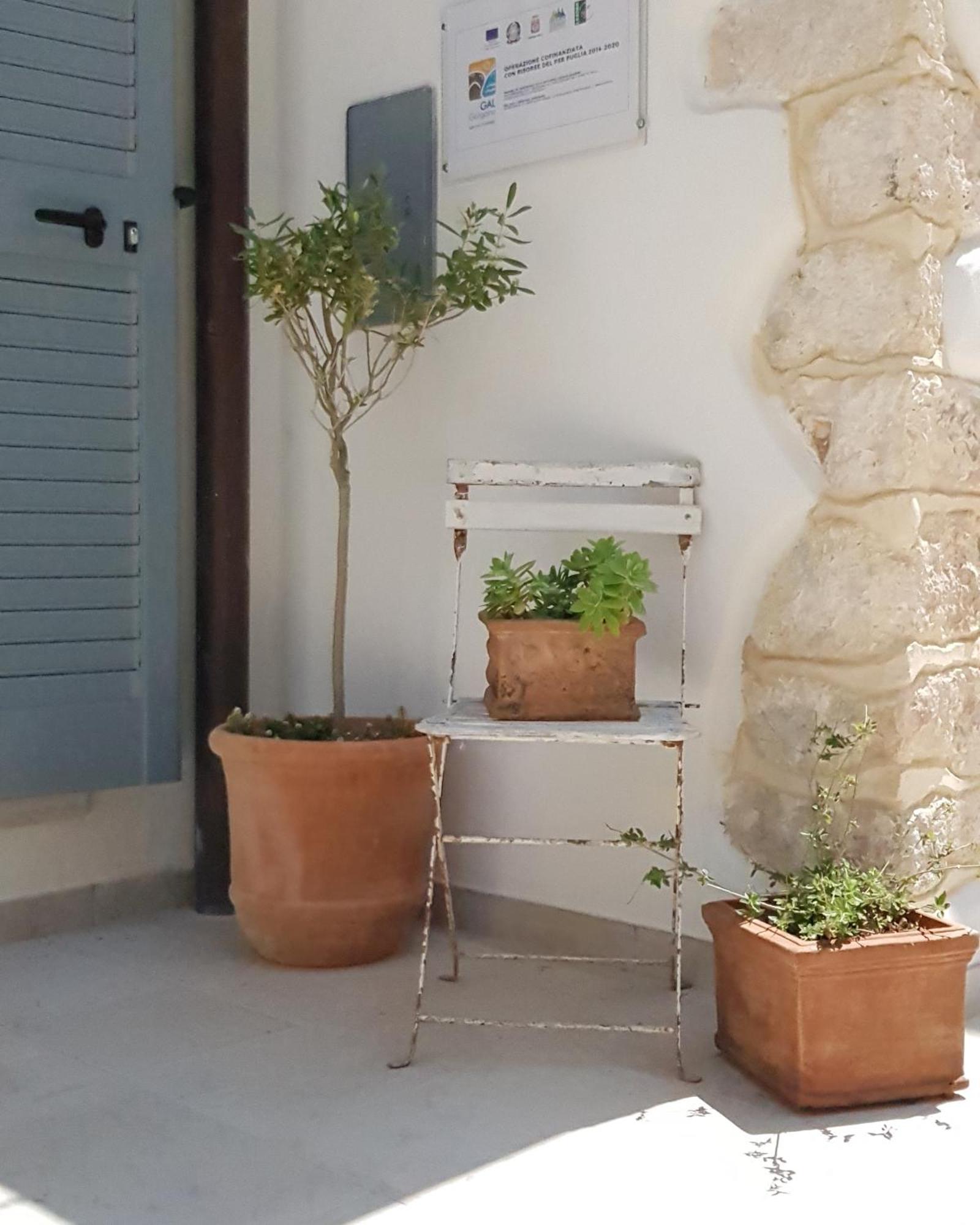 Gargara Bed And Breakfast Vico Del Gargano Ngoại thất bức ảnh